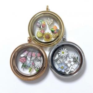 Stainless steel Floating living locket